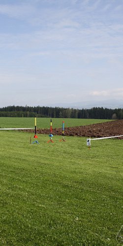 2013 Svojek Mirek Topinka